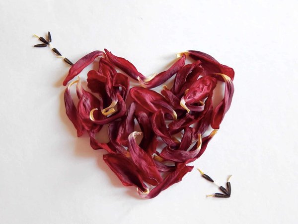 Trouver son âme sœur avec la bague en saphir