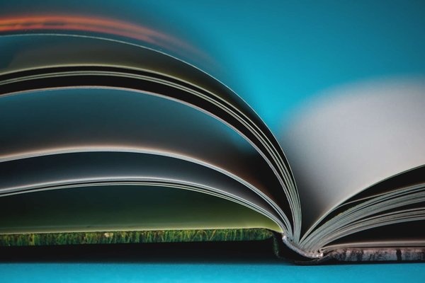 Pourquoi un livre photo plutôt qu'un album traditionnel pour cette année ?